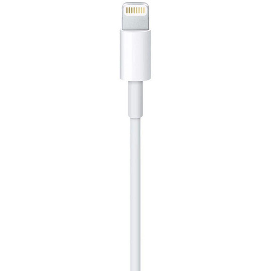 Cavo Lightning a USB 1 mt - RICON Negozio Cellulari Nuovi e Ricondizionati Latina