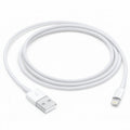 Cavo Lightning a USB 1 mt - RICON Negozio Cellulari Nuovi e Ricondizionati Latina